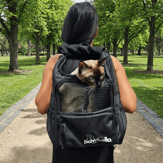 The Ultimate Guide to Backpack Pet Carriers for Cats: Safety, Training & Fun