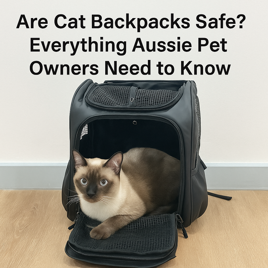 Siamese cat resting inside a black Pawbella cat backpack with mesh panels, overlaid with the blog title text: Are Cat Backpacks Safe? Everything Aussie Pet Owners Need to Know.