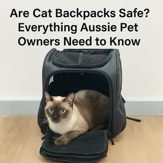 Siamese cat resting inside a black Pawbella cat backpack with mesh panels, overlaid with the blog title text: Are Cat Backpacks Safe? Everything Aussie Pet Owners Need to Know.