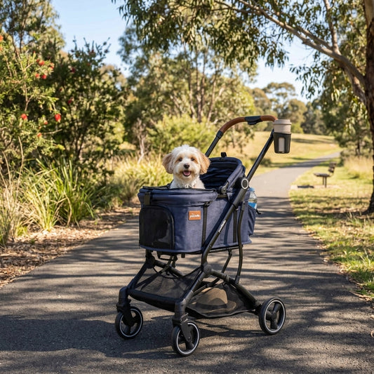 Cute dog sitting in navy blue Pawbella pet pushchair stroller in Australian park