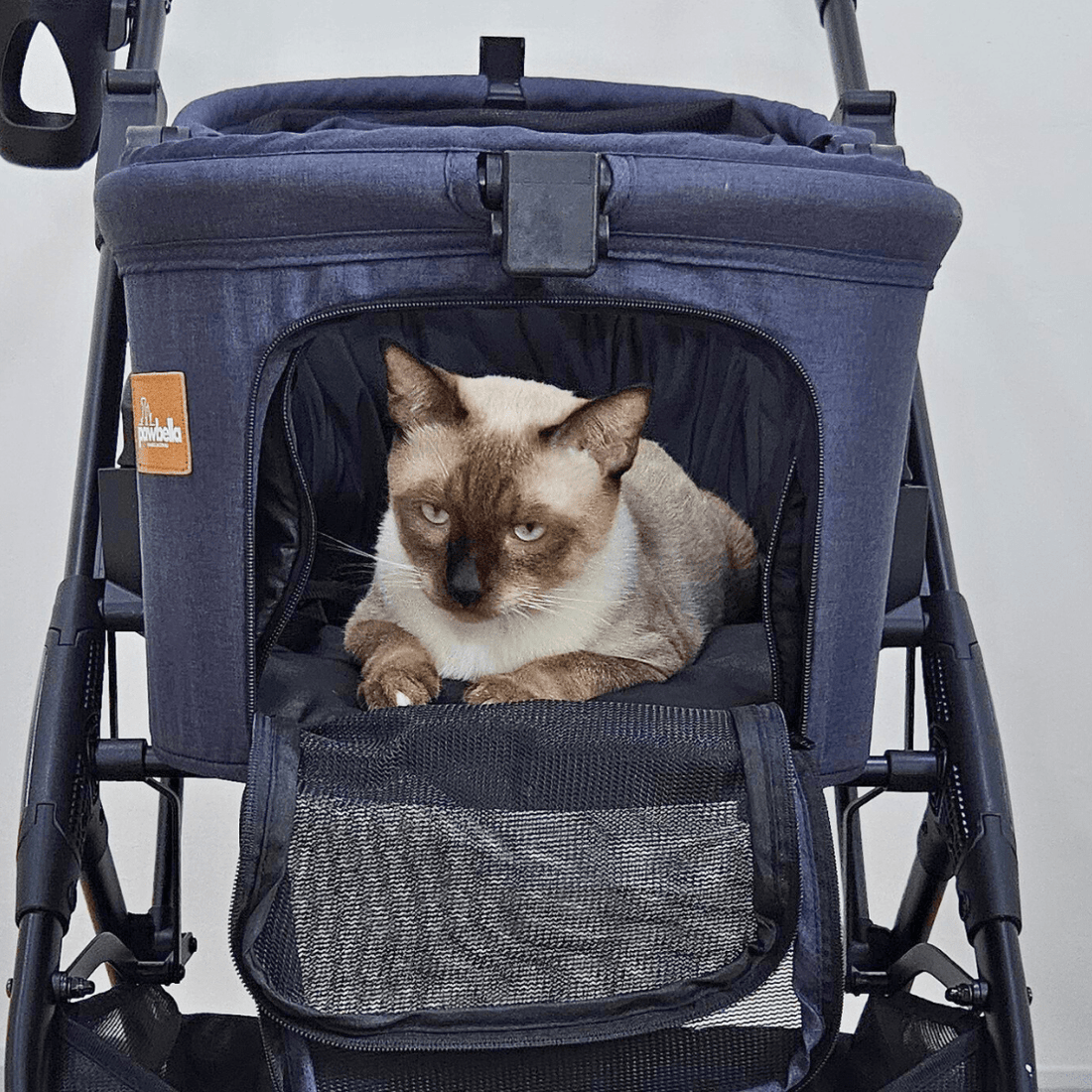 How the Best Cat Strollers Revolutionize Your Pet Adventures