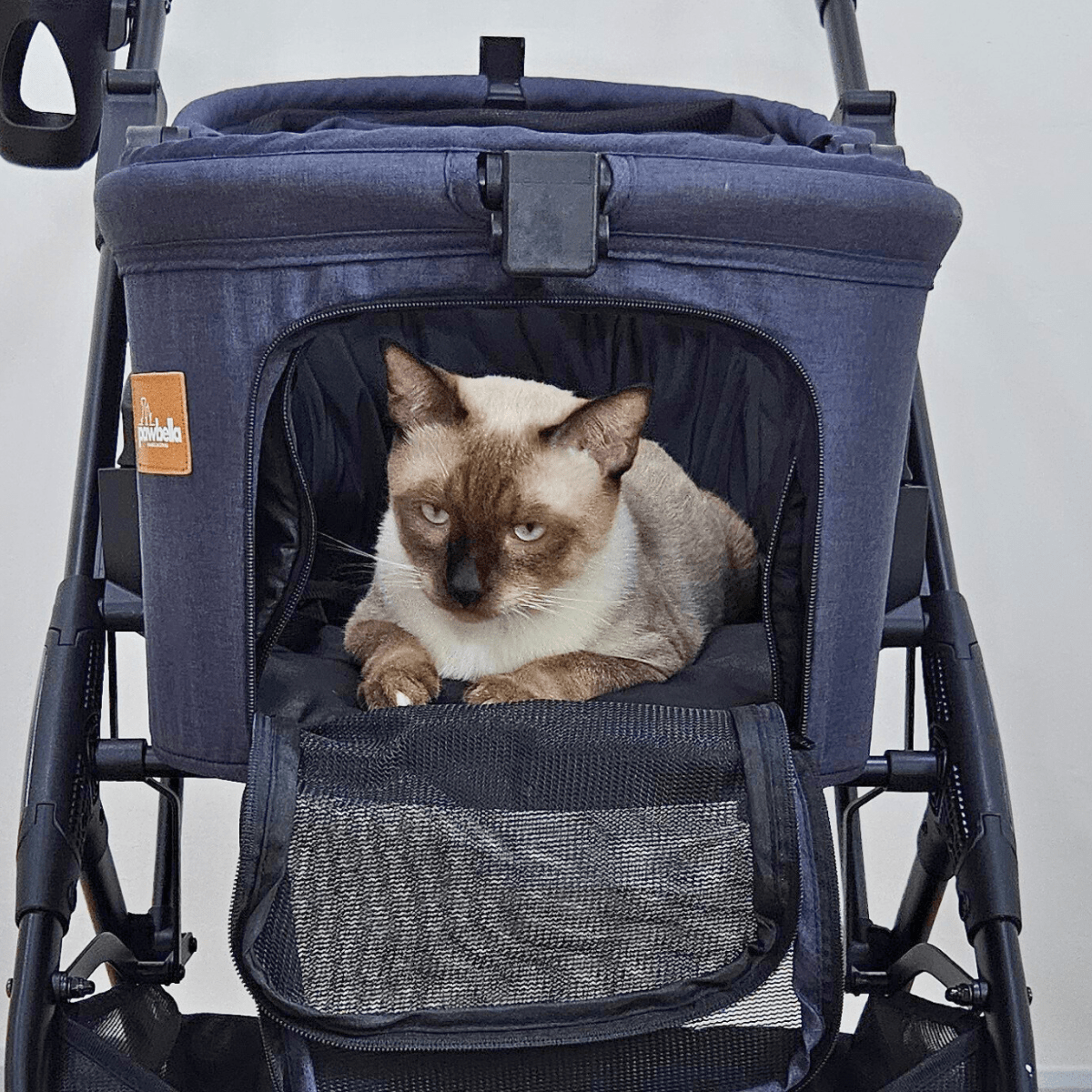 How the Best Cat Strollers Revolutionize Your Pet Adventures