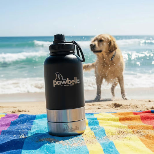 A Pawbella 3-in-1 Dog Water Bottle 1L with Food Bowls rests on a colorful striped towel at an Australian beach, with a smiling golden retriever and a pet backpack by the waves in the background.