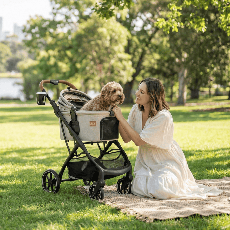 A woman in a white dress sits on a picnic blanket in a park, smiling at a small brown dog sitting in a stroller. Lush green trees and grass surround them on a sunny day.