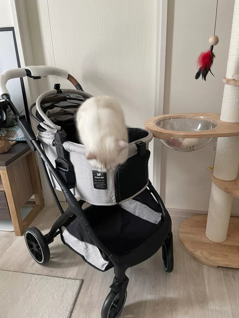 A playful cat climbing into a grey pet stroller indoors, with a modern design featuring a leather-wrapped handle and black frame, set against a cozy home backdrop.