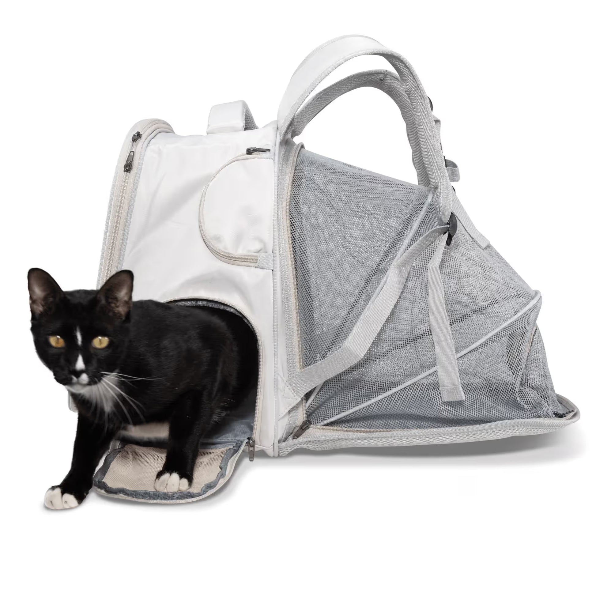 A black and white cat steps out of the Pawbella Expandable Lightweight Pet Backpack, featuring mesh sides and a zippered opening, shown against a white background. Ideal for travel adventures in Australia.