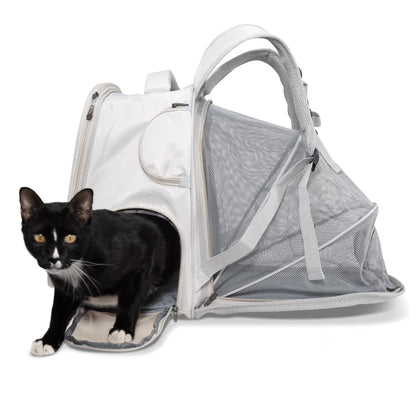 A black and white cat steps out of the Pawbella Expandable Lightweight Pet Backpack, featuring mesh sides and a zippered opening, shown against a white background. Ideal for travel adventures in Australia.