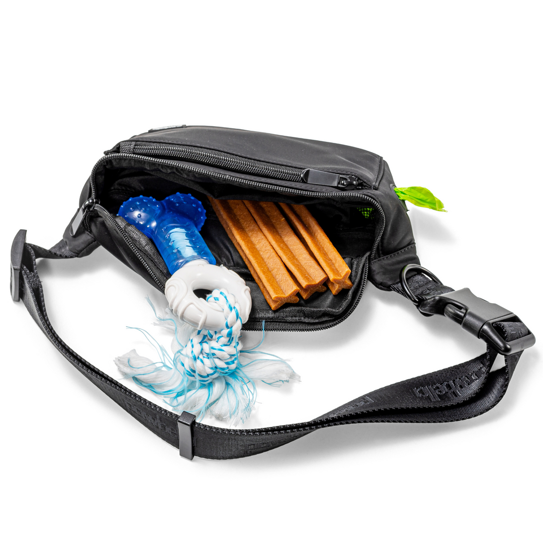 Pawbella dog walking bum bag in black, unzipped to show interior storage with chew sticks, a toy, and waste bags, designed for carrying pet essentials during walks