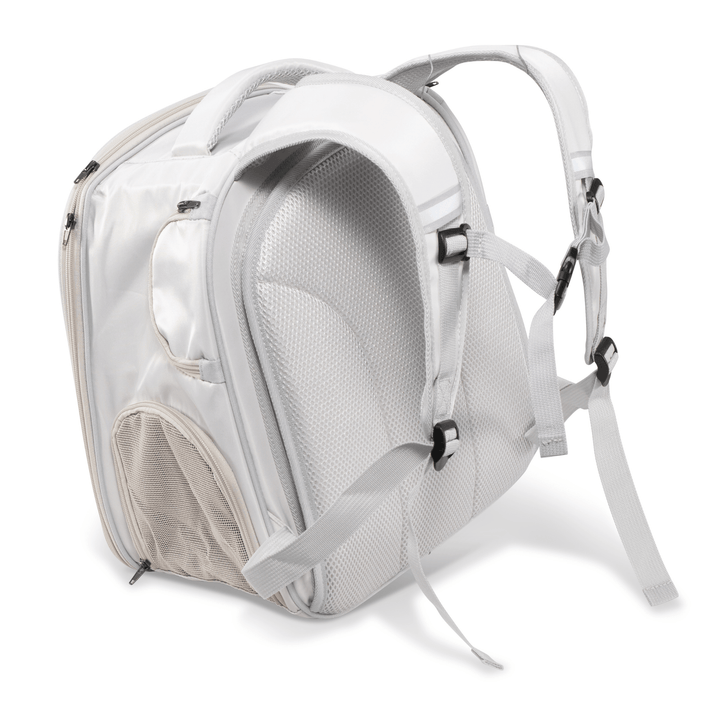 Rear view of the Pawbella expandable backpack pet carrier, showing padded shoulder straps and breathable back panel.