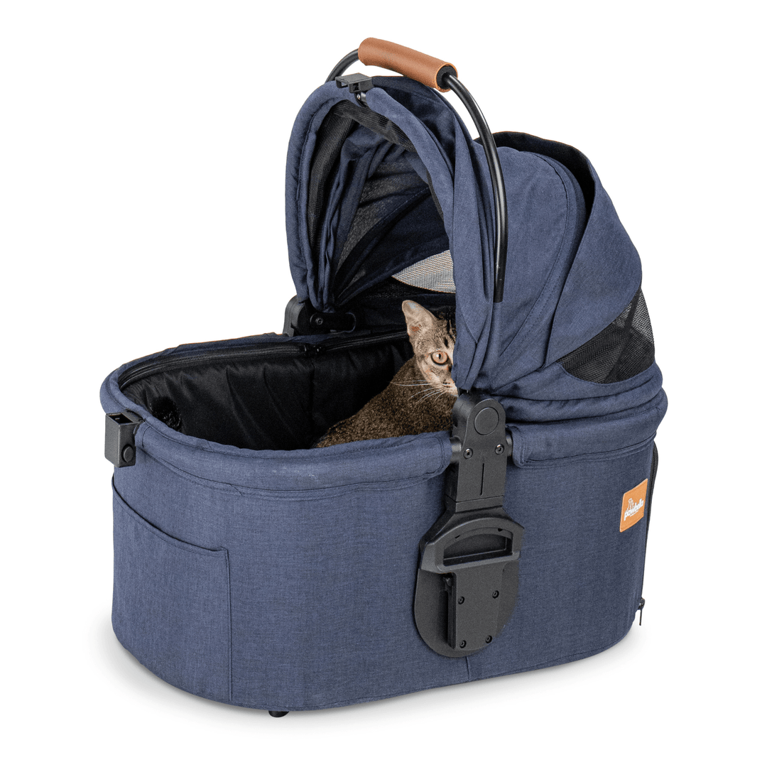 Cat comfortably sitting inside a navy Pawbella pet stroller with a partially open canopy, providing a cozy and secure space for pet travel.