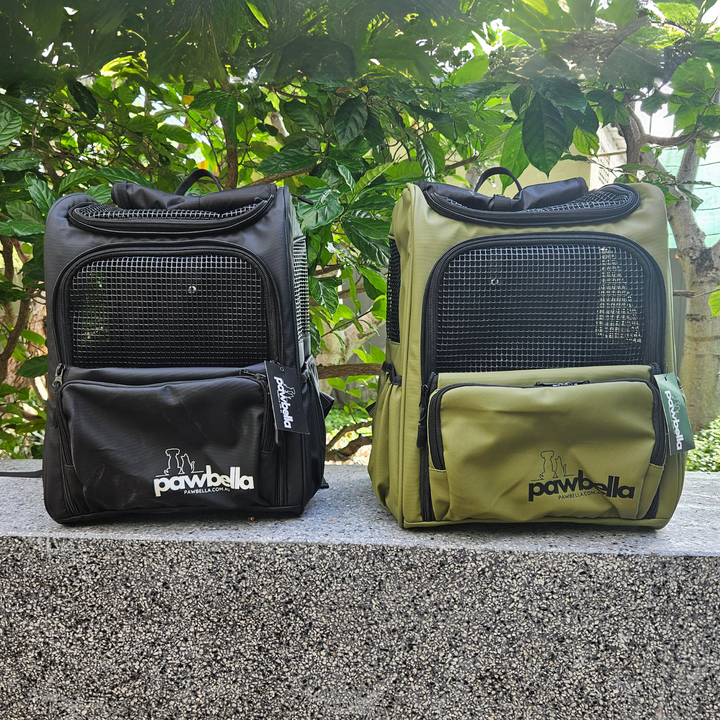 Side by side Pawbella pet backpacks in black and olive, positioned on a stone ledge with lush green foliage in the background.