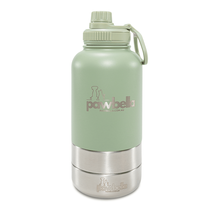 Green Pawbella travel pet water bottle with a secure screw-on lid and stainless steel base, ideal for on-the-go hydration for pets.