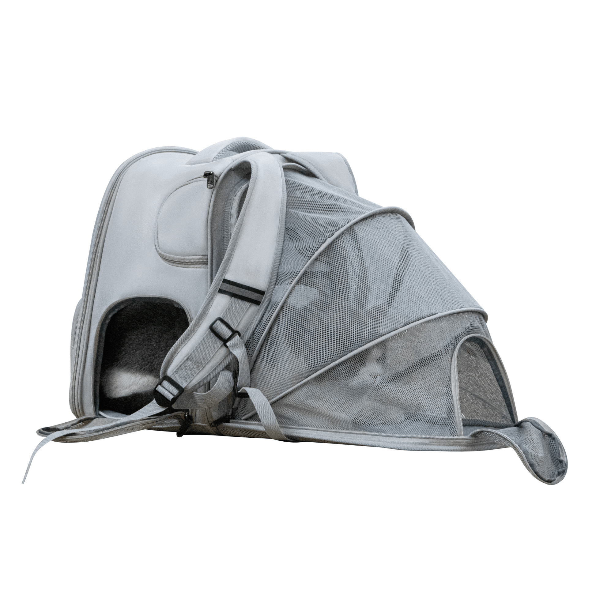 Jet sitter expandable sales carrier