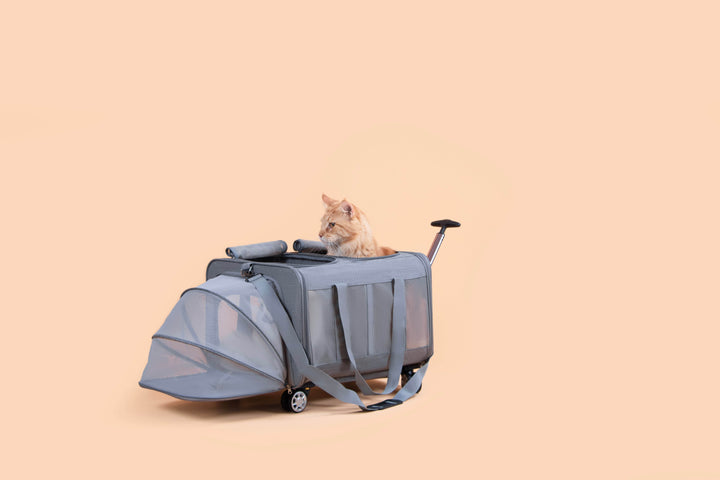 Pet Carrier - Expandable Pet Trolly - Pawbella