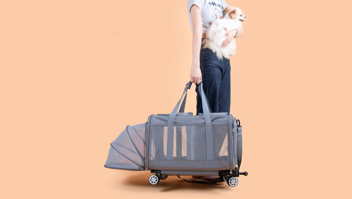 Pet Carrier - Expandable Pet Trolly - Pawbella