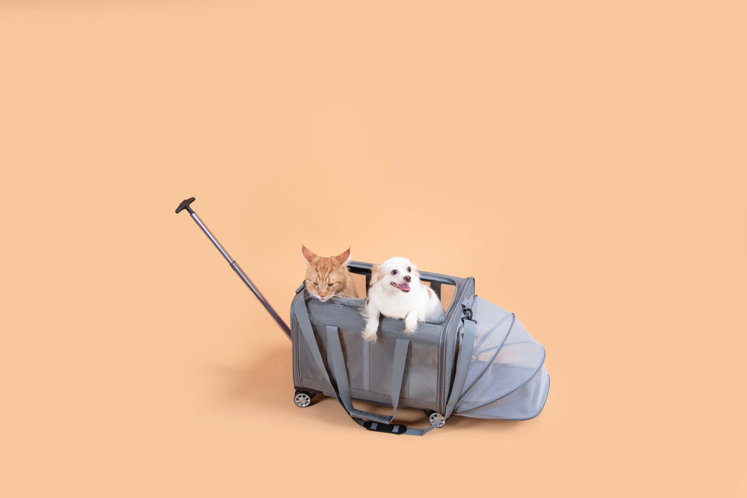 Pet Carrier Pet Carrier | Expandable Pet Trolly | Pawbella