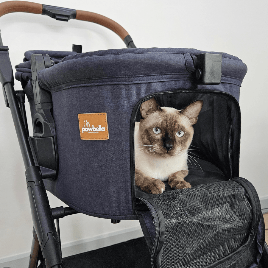 Siamese cat relaxing in a Pawbella Ultimate Pet Stroller, side angle