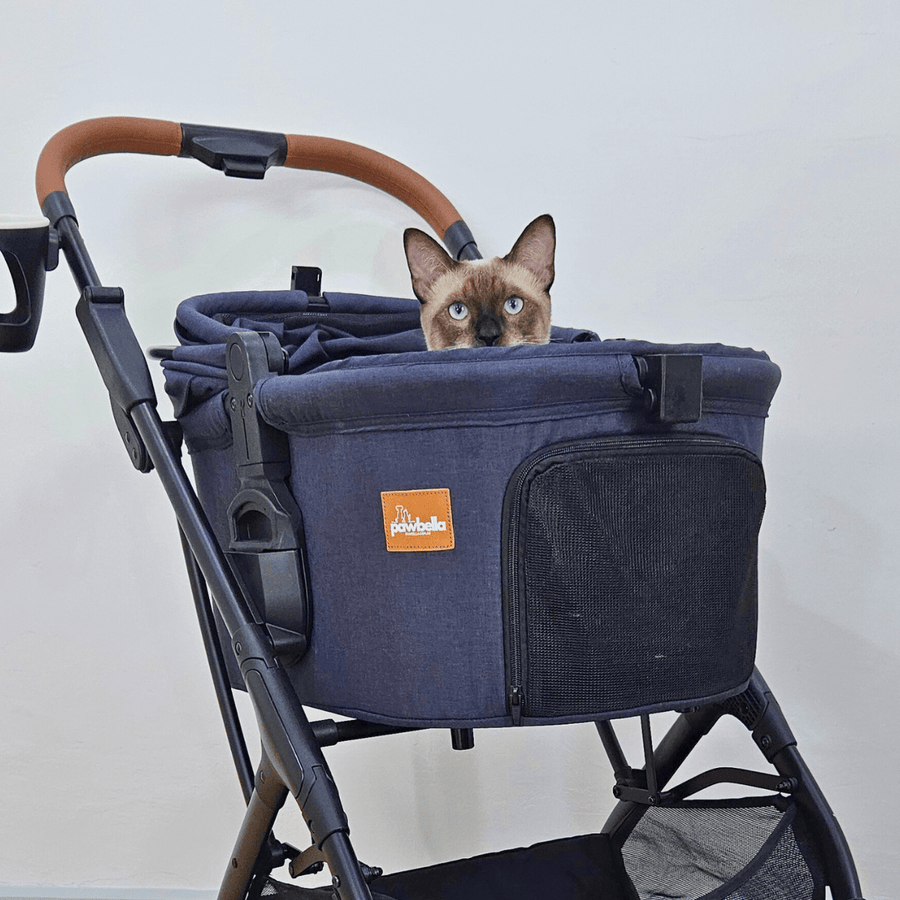 Siamese cat peeking out from the Pawbella Ultimate Pet Stroller