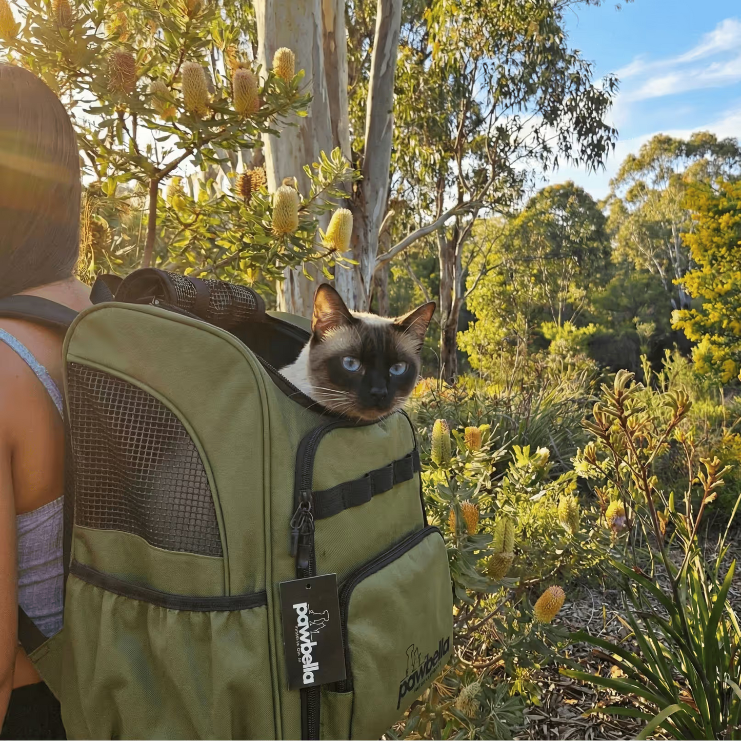 A Siamese cat enjoys the outdoors in Australia, nestled in Pawbella’s Outback Explorer Heavy Duty Pet Backpack (12kg Max), worn among lush greenery and tall trees with sunlight streaming through the leaves.
