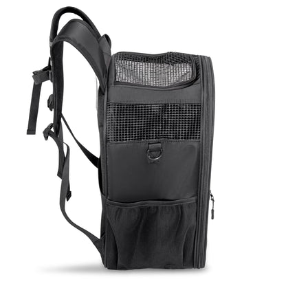 The Pawbella Panorama XL | Bubble Pet Carrier Backpack (10kg max) is a stylish black backpack with a mesh front, perfect for taking your pet on outdoor adventures in Australia.
