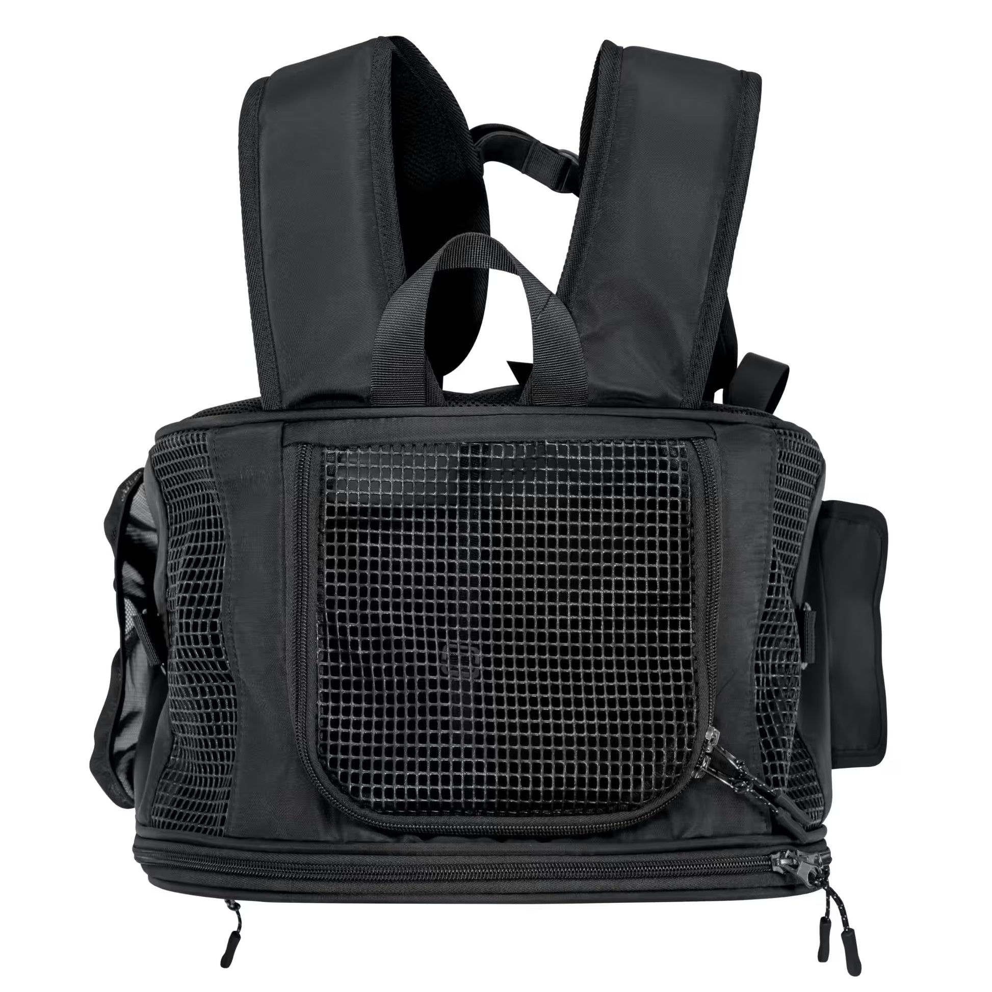 The Pawbella Panorama XL Bubble Pet Carrier Backpack (10kg max) features mesh panels for ventilation, padded shoulder straps, a top handle, and zippered side pockets—ideal for traveling in Australia with your furry companion.