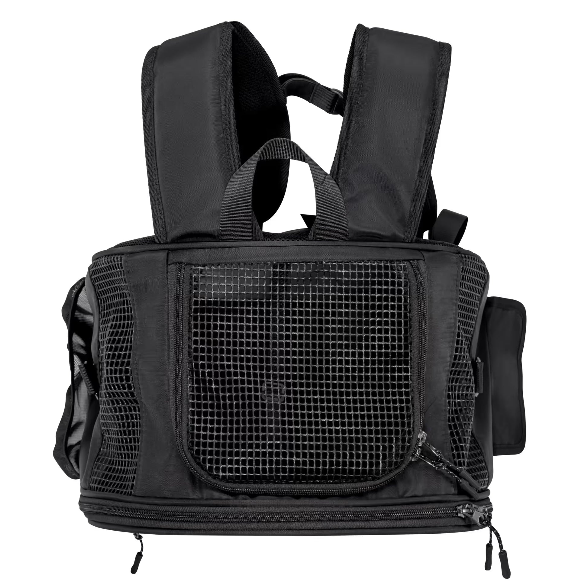 The Pawbella Panorama XL Bubble Pet Carrier Backpack (10kg max) features mesh panels for ventilation, padded shoulder straps, a top handle, and zippered side pockets—ideal for traveling in Australia with your furry companion.